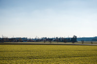 Windpark-Ebnat-Ochsenberg-bei-Nietheim