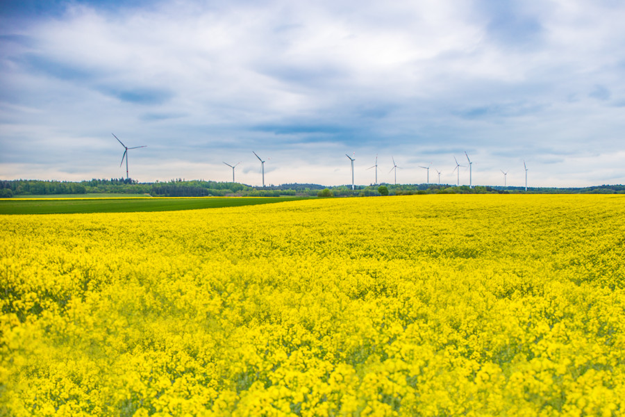 Windpark Waldhausen