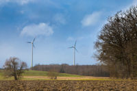 Windpark Buchhausen, Foto von Thomas Kappel
